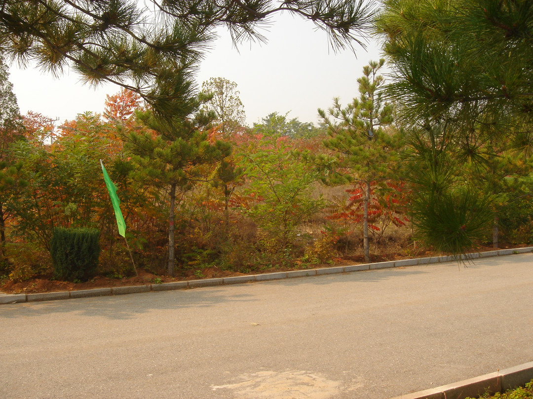 海棠山风景区-阜新蒙古族自治县必去景点