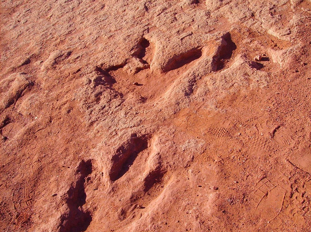 Dinosaur Tracks-蒂巴城必去景点