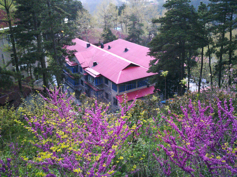 松门山舍民宿主图