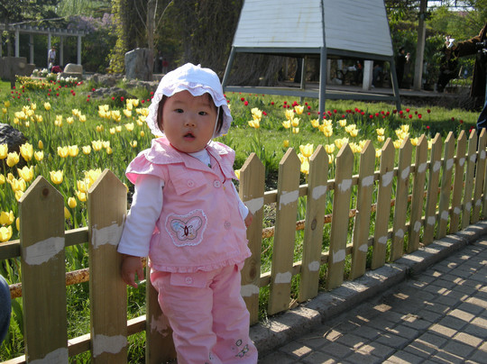 沈阳南湖公园-沈阳市必去景点