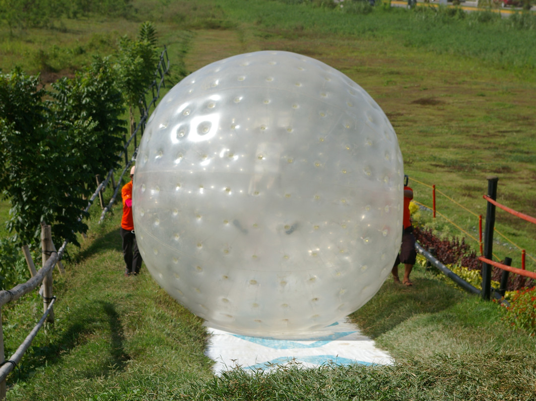 Davao Zorb Park-达沃必去景点