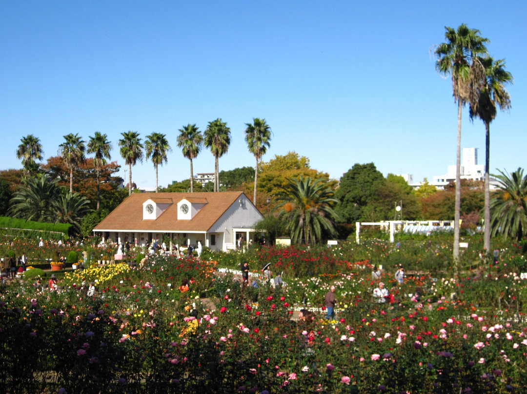 Yatsu Rose Garden-习志野市必去景点
