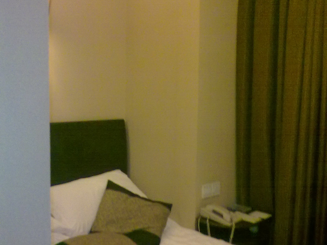 百瑞香江大酒店主图