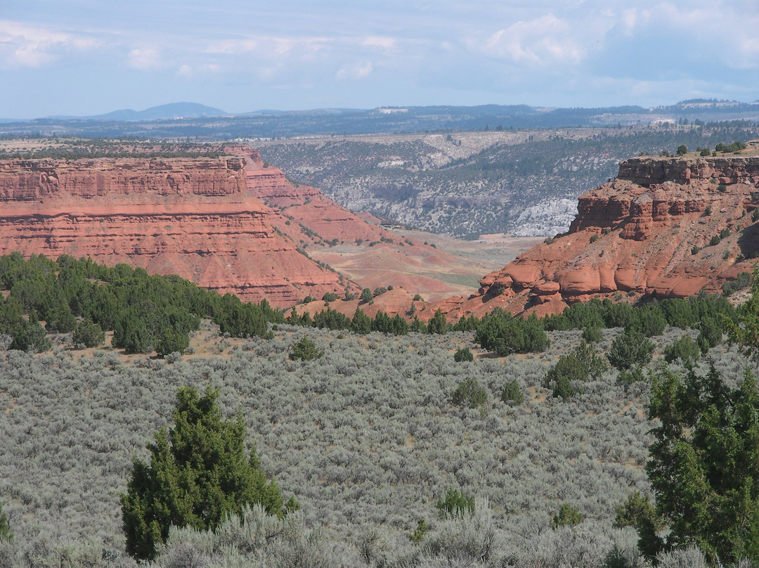 Red Reflet Ranch