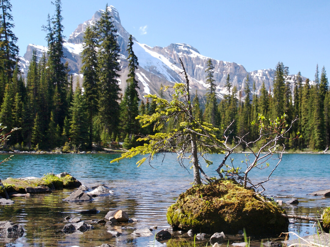 Great Divide Nature Interpretation-路易斯湖必去景点