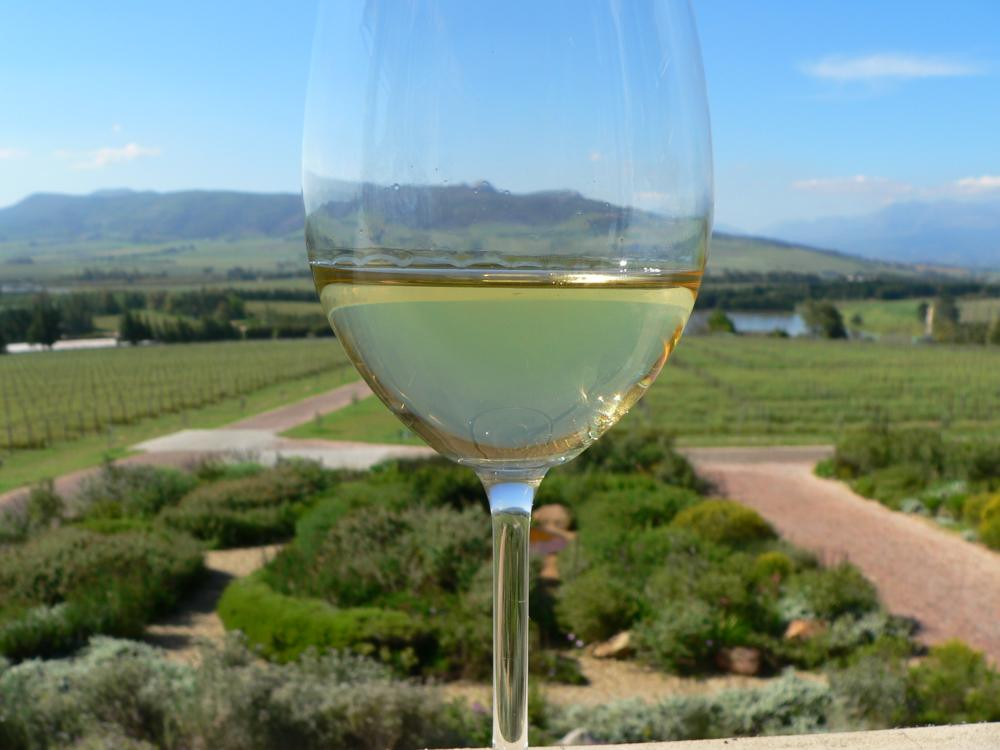 Tsiba Tsiba Wine Tours-斯泰伦博斯必去景点