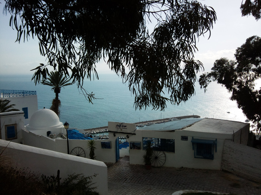 Dar Nejma Ezzahra 宫殿-蓝白小镇必去景点