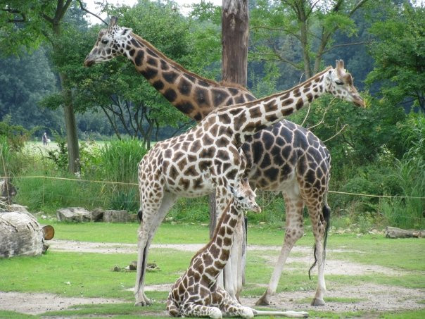 Zoo Leipzig-莱比锡必去景点