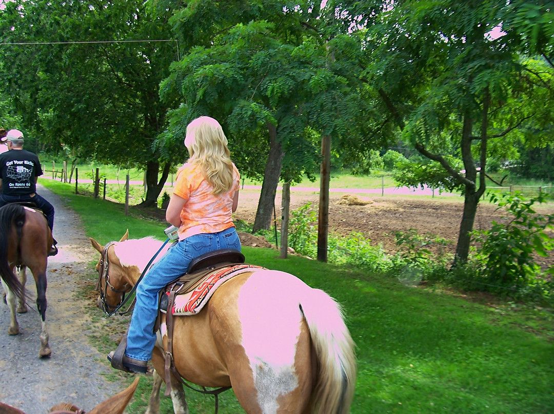 Yokum's Seneca Rocks Stables-Seneca Rocks必去景点