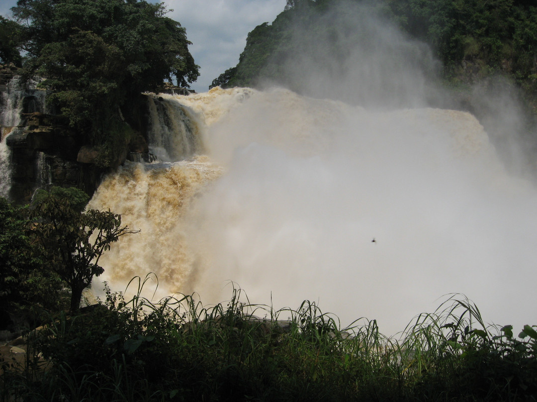 Zongo Falls景点图片