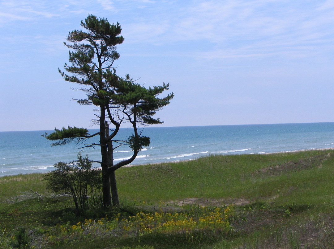 Kohler-Andrae State Park-希博伊根必去景点