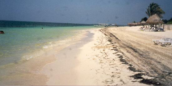 Club Paraiso Maya主图