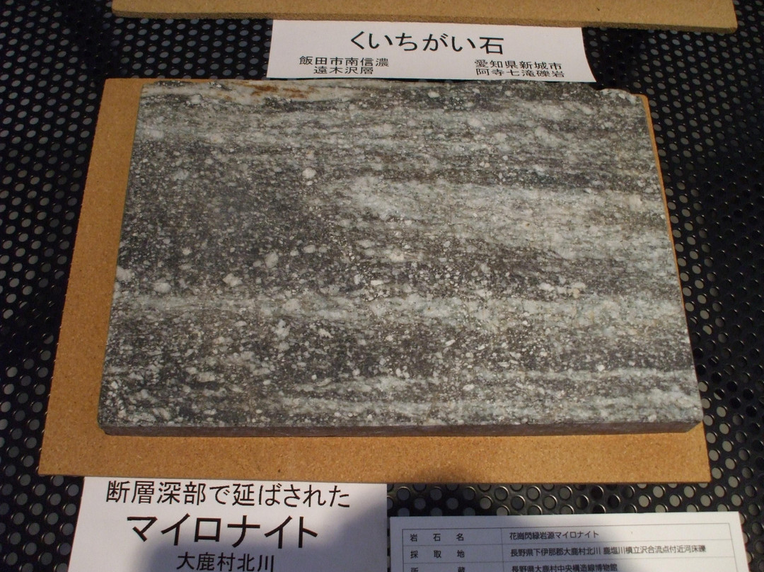 Oshika Median Tectonic Line Museum-大鹿村必去景点