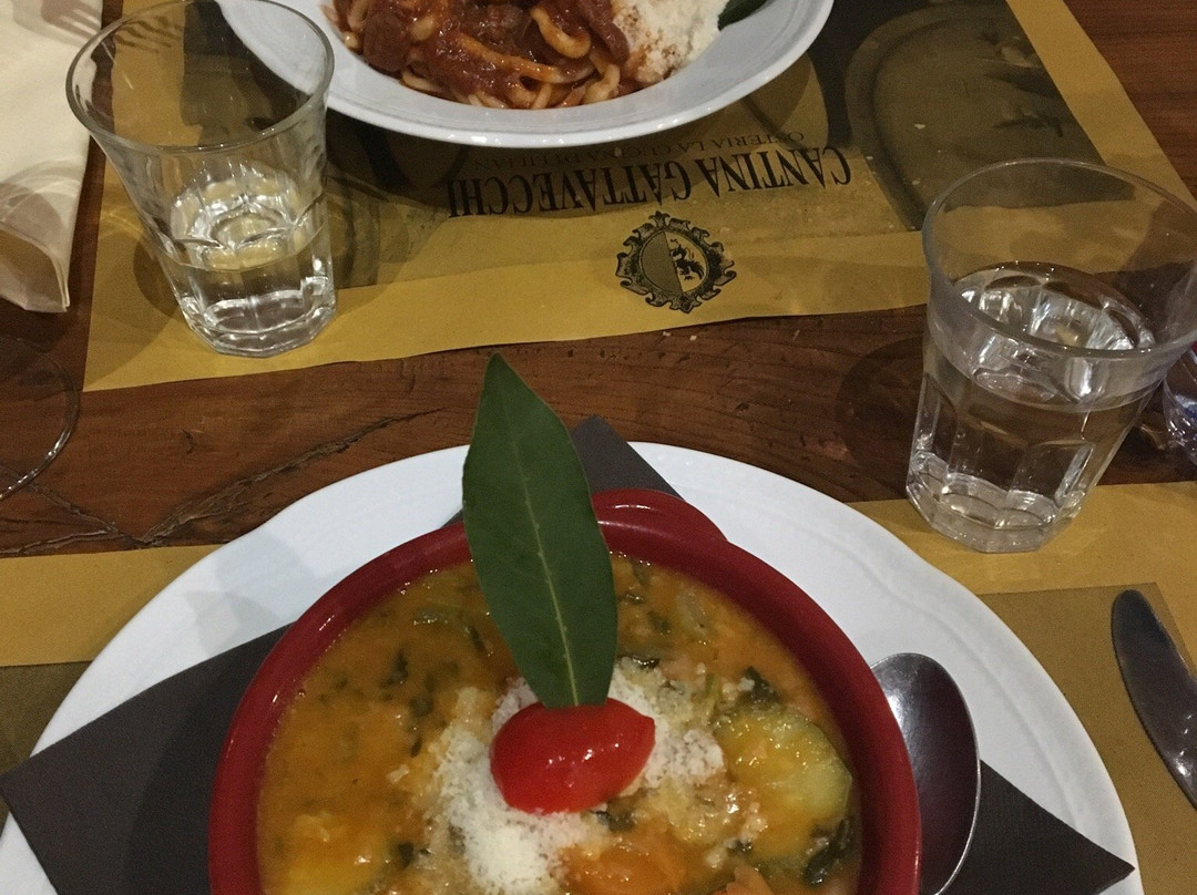 Gattavecchi