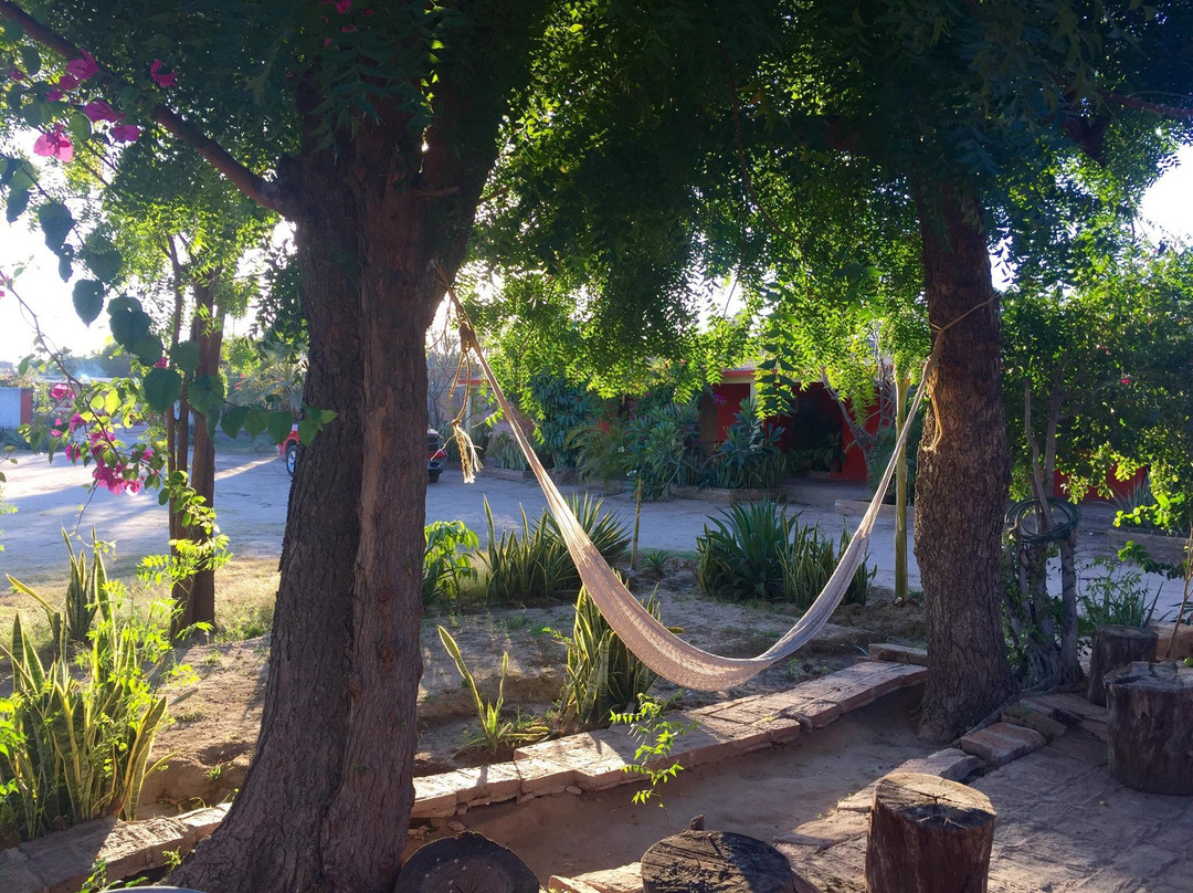 El Fuerte酒店住宿-Hotel Bugambilias