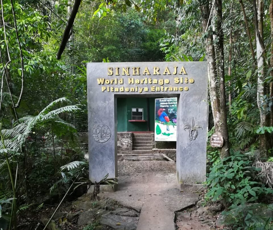 Sinharaja Rainforest Tour-Deniyaya必去景点