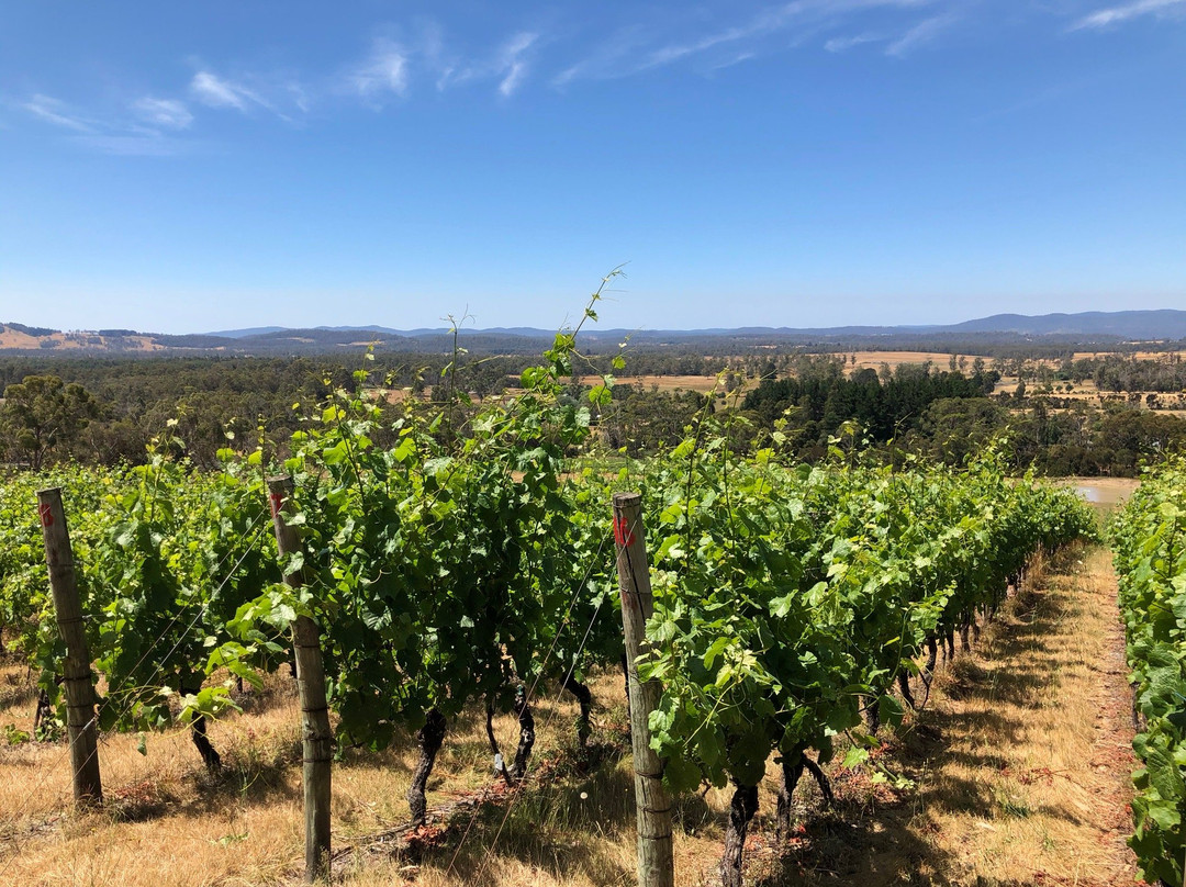 Grey Sands Vineyard-Glengarry必去景点