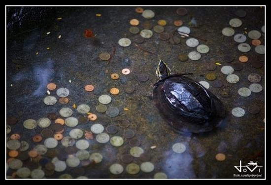 马拉闵旅游攻略图片