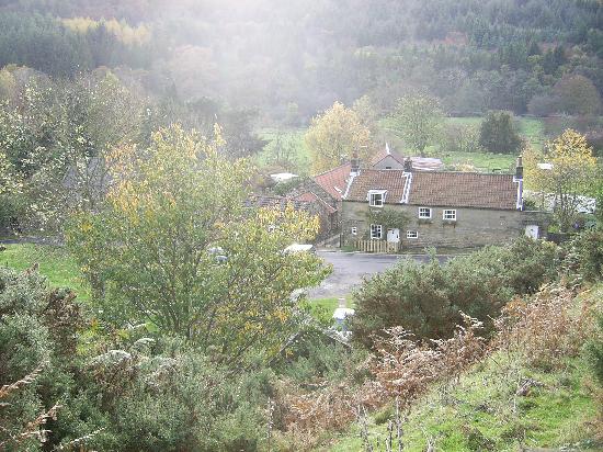 Brookwood Farm B&B-客卧