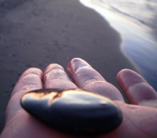 派斯克小岛州立公园 -伊利必去景点