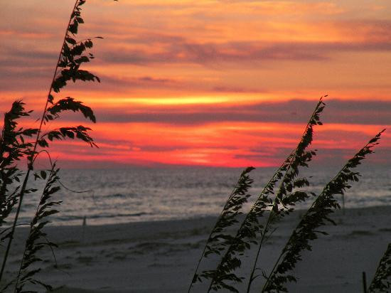 Grayton Beach State Park景点图片