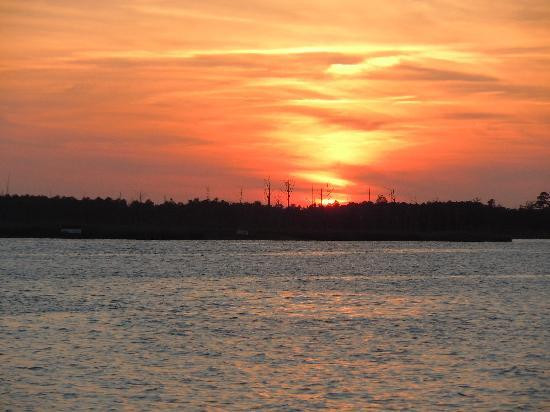 Wilmington Water Tours-威尔明顿必去景点