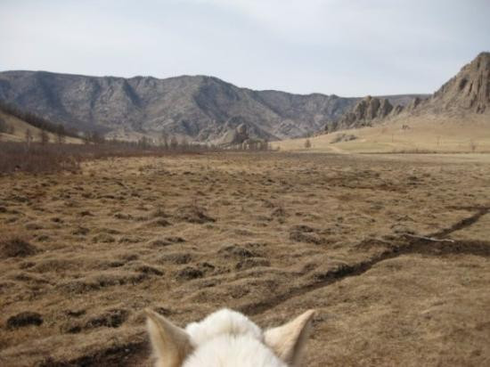Gorkhi-Terelj National Park-乌兰巴托必去景点