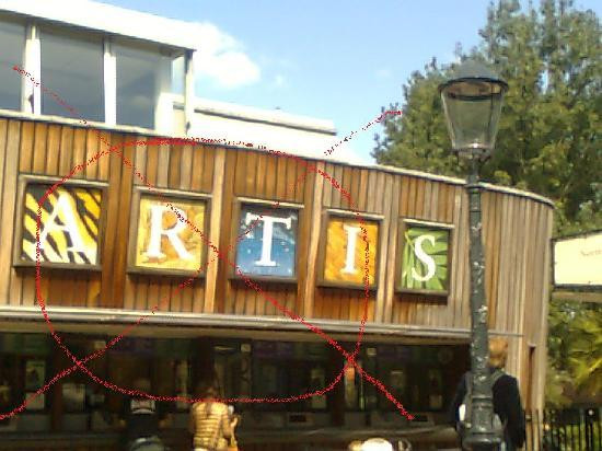 阿提斯动物园-阿姆斯特丹必去景点