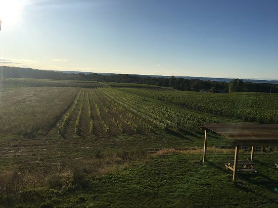 Bonobo Winery-特拉弗斯城必去景点