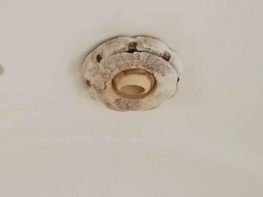 Wild Orchid Beach Resort主图