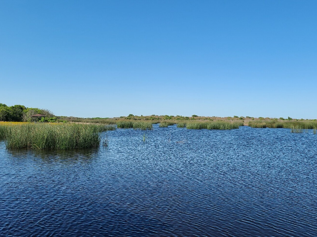 Brazoria National Wildlife Refuge-Freeport必去景点