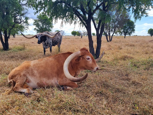 Leahton Park-查特斯堡必去景点