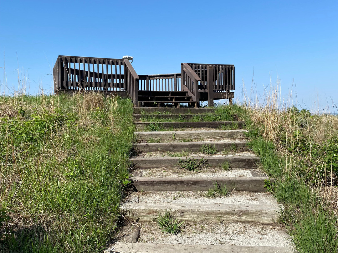 Dorothy Pecaut Nature Center-苏城必去景点