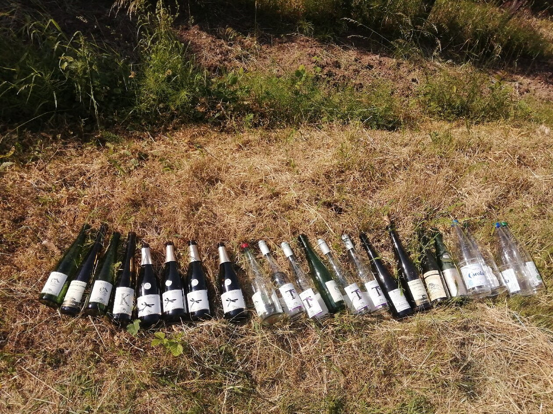 Domaine Marcel Freyburger景点图片