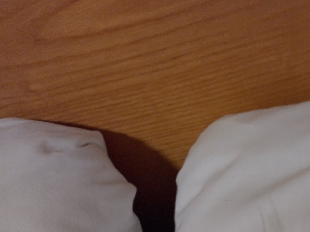 Travelodge Nuneaton主图