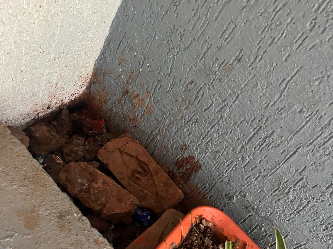 Cloud Mist Resort and Spa主图