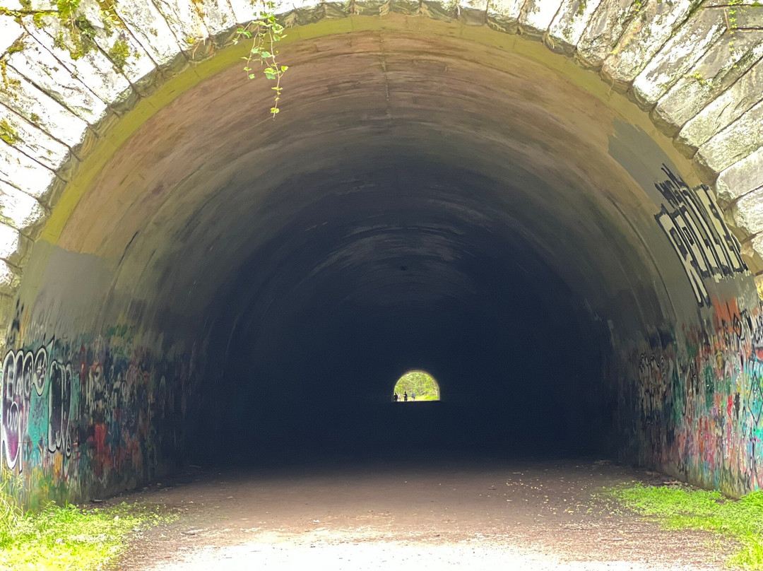 Road to Nowhere-大雾山国家公园必去景点