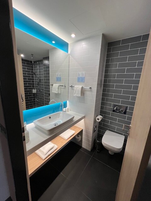 Holiday Inn Express & Suites Basel - Allschwil, an IHG hotel-浴室