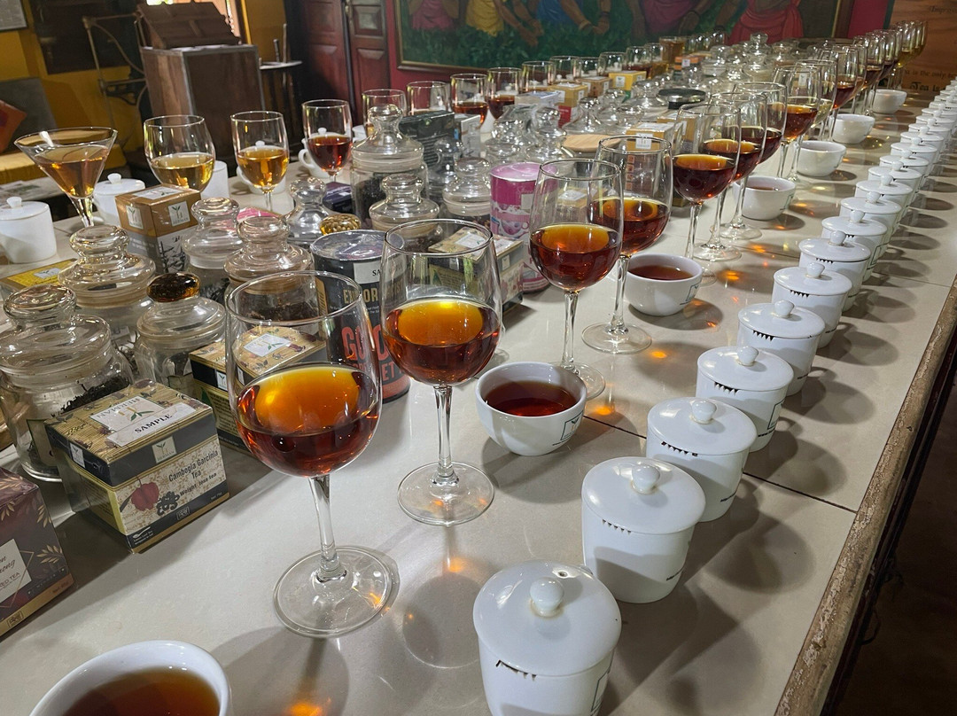 Suresh Travel Sri Lanka-哈巴拉杜瓦必去景点