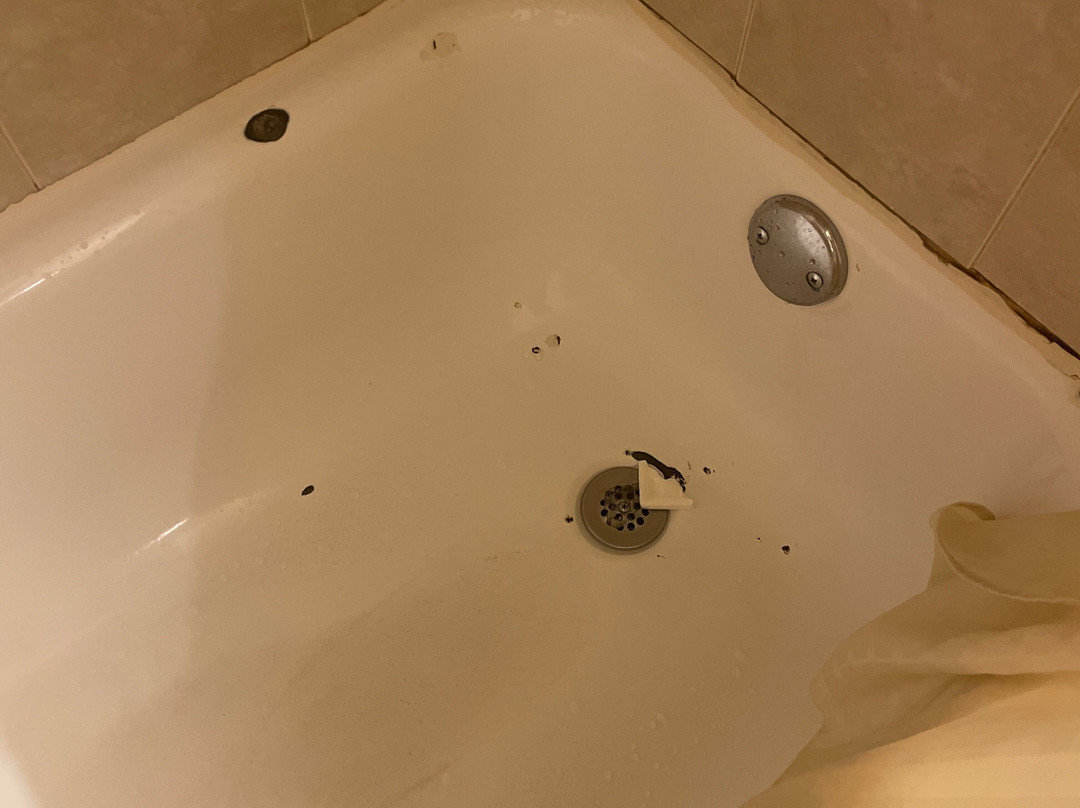 Meadowbrook Motor Lodge主图