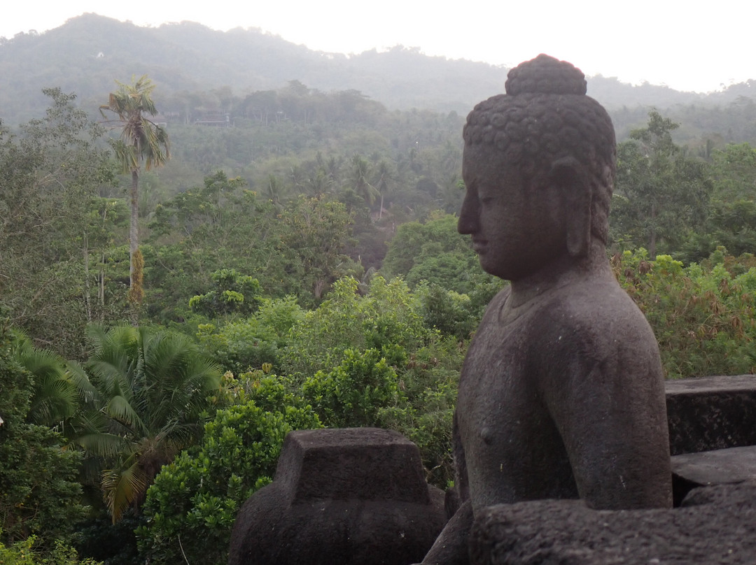 Truly Borobudur Tours景点图片