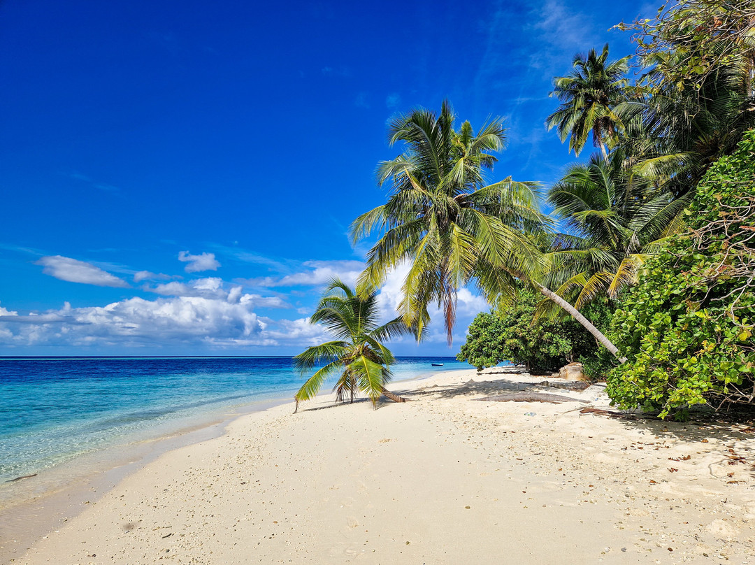 Alimas Holiday Retreat主图