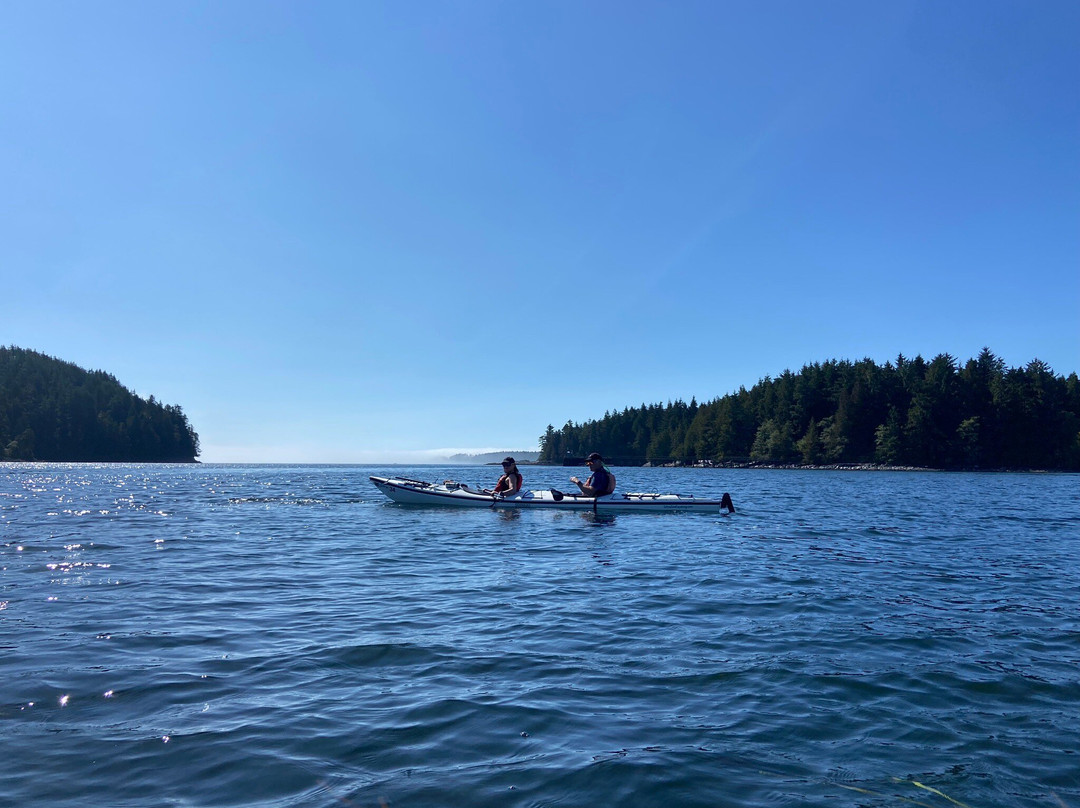 Tofino Sea Kayaking Day Tours景点图片