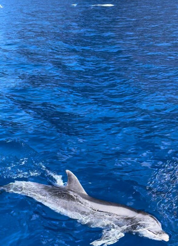 Los Rapidos-洛斯·吉甘特斯必去景点