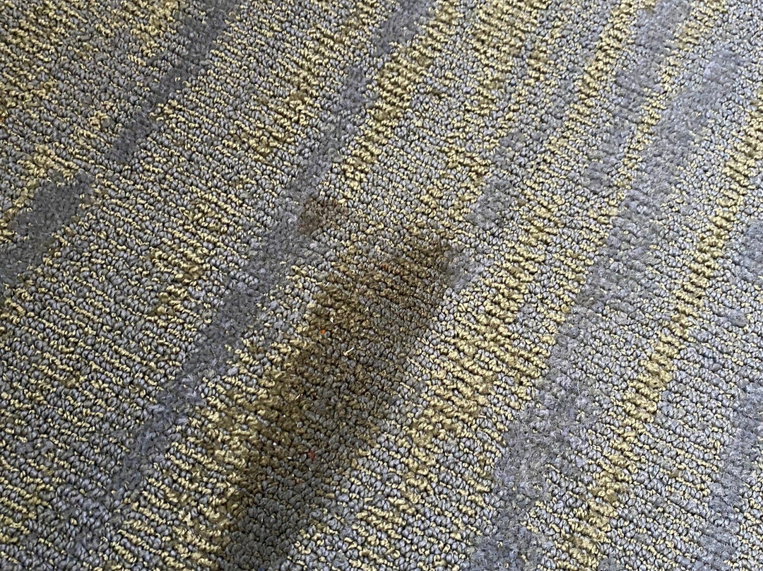 Cottonwood Inn and Conference Center主图