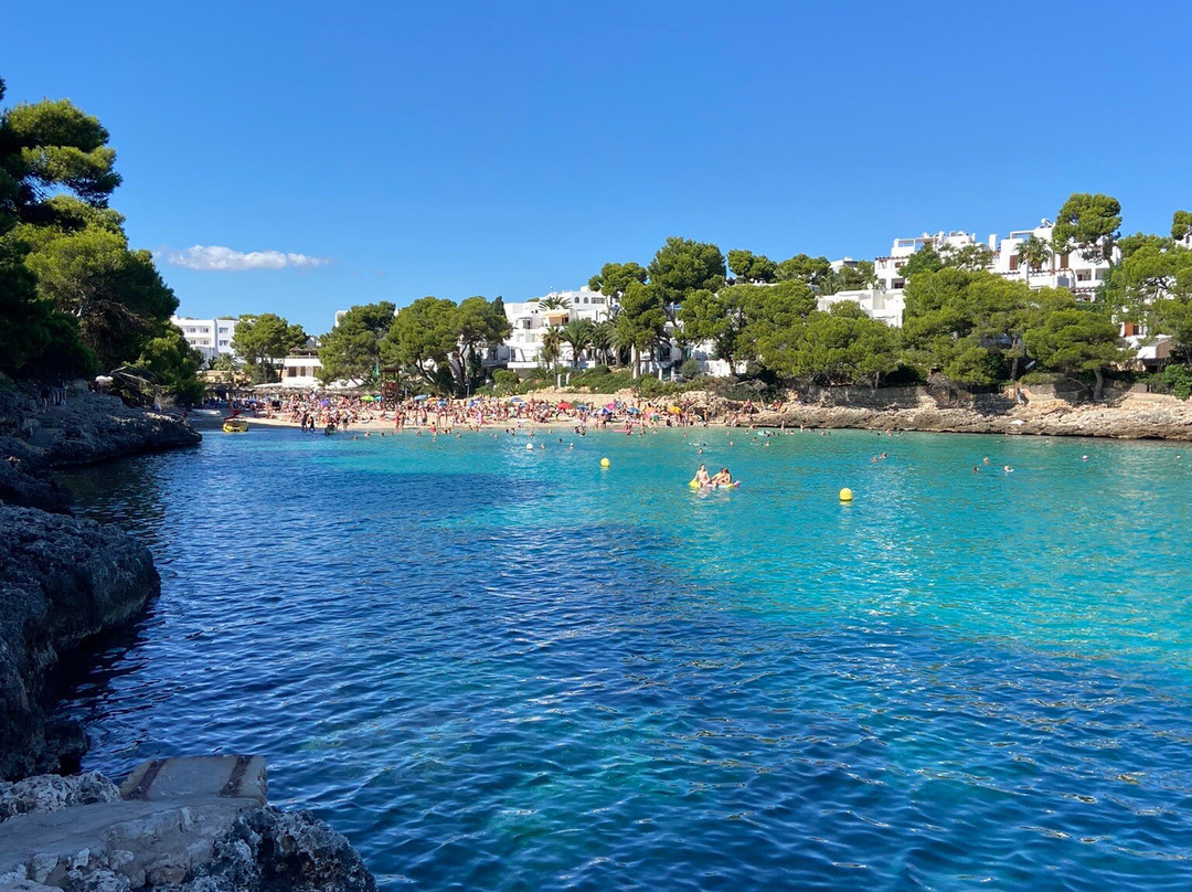 Playa Cala Gran景点图片