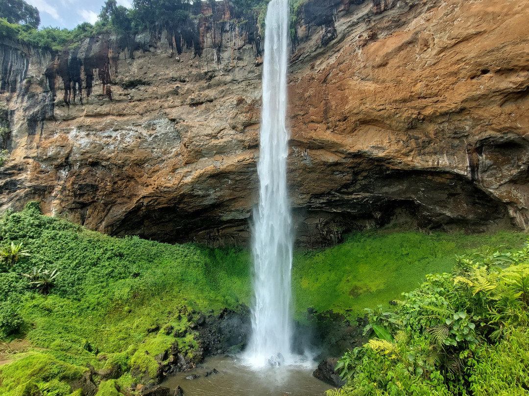 Thomas Coffee Plantation Tours