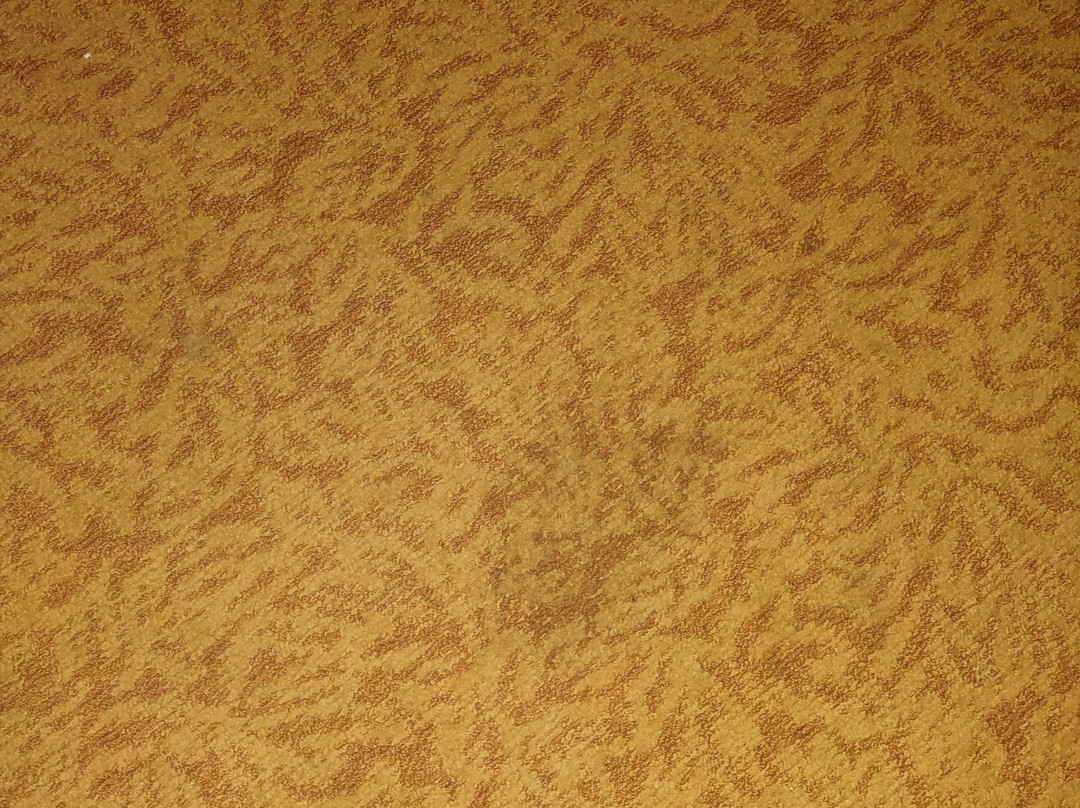 Country Inn & Suites by Radisson, Rochester South, MN主图