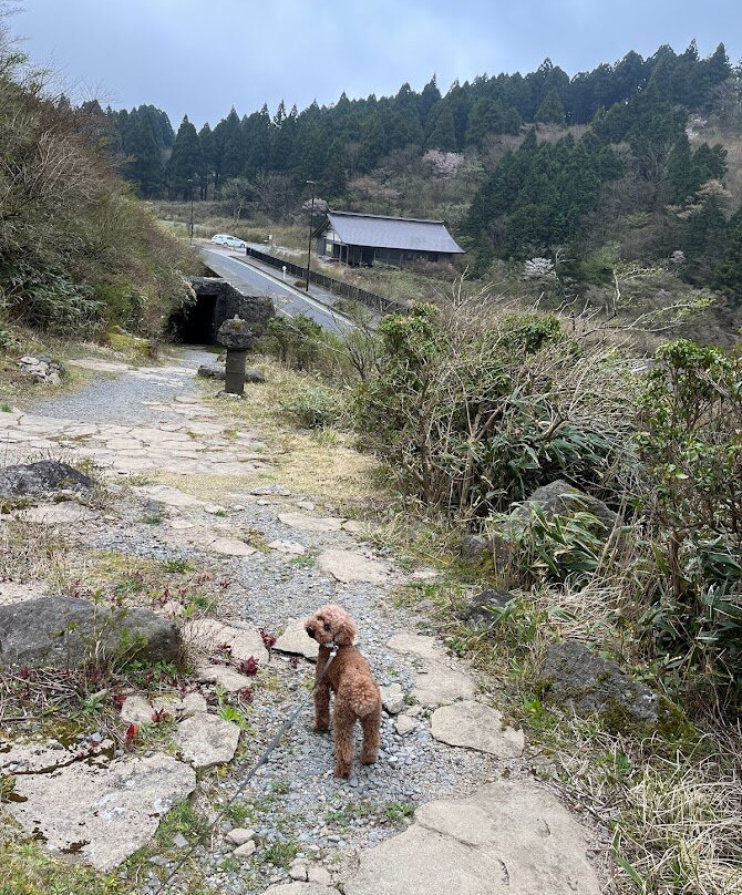 Buddhist Stoneworks at Motohakone-箱根町必去景点