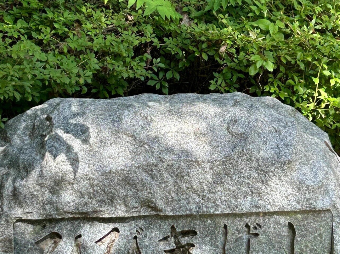 Takasakibyakue Daikannon景点图片